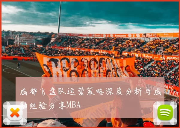 成都飞盘队运营策略深度分析与成功经验分享MBA