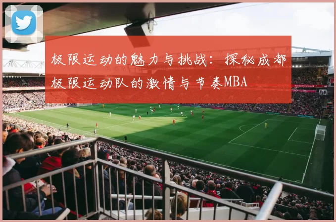 极限运动的魅力与挑战：探秘成都极限运动队的激情与节奏MBA