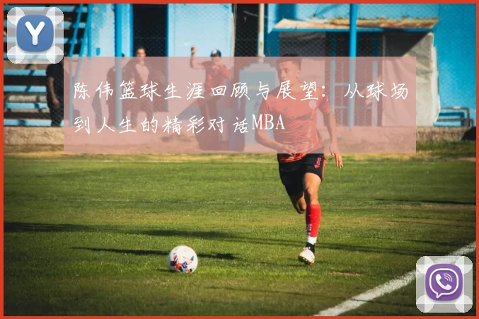 陈伟篮球生涯回顾与展望：从球场到人生的精彩对话MBA