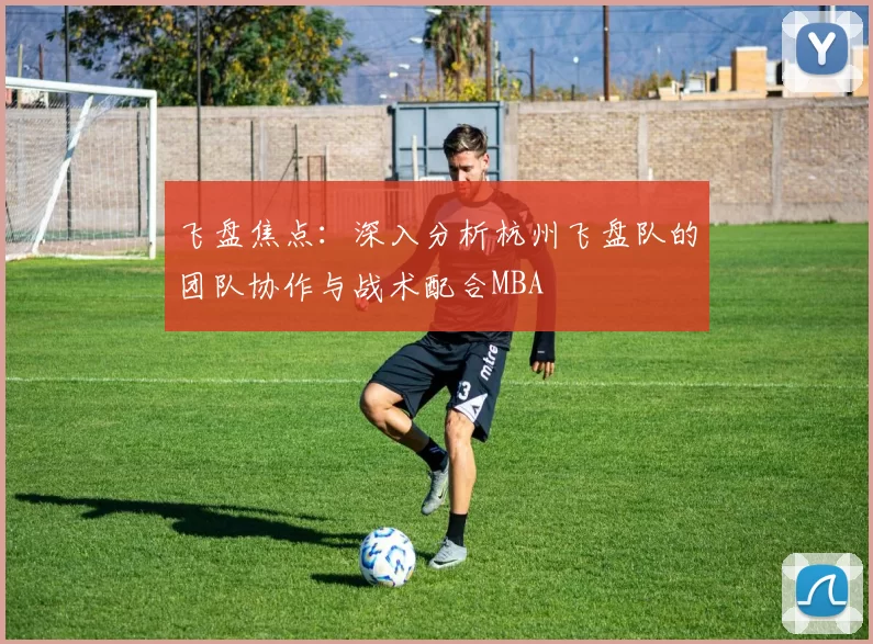 飞盘焦点：深入分析杭州飞盘队的团队协作与战术配合MBA