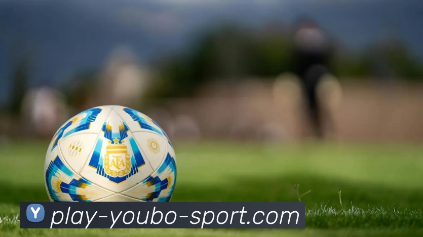 友博彩票服务体系